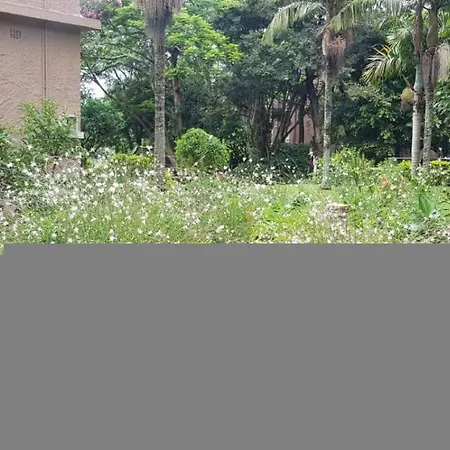 Sarina House Ocean View Σπίτι διακοπών *